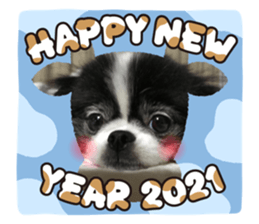 365204942