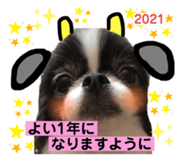 365204944