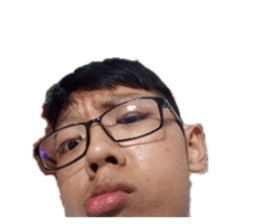 365211936