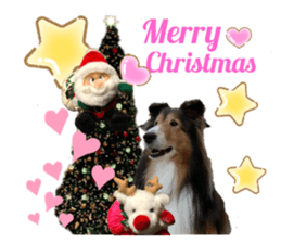 365233631