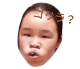 365303486