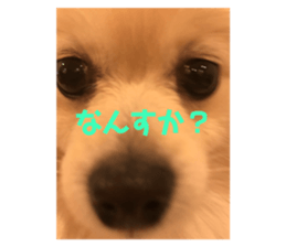 365311904