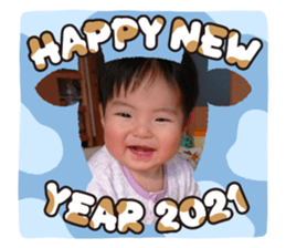 365404036