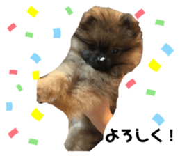 365529327