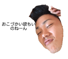 365556020