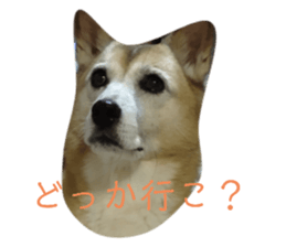 365591815