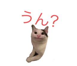 365639544
