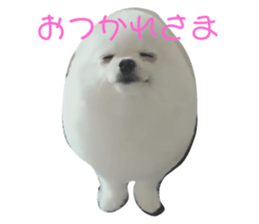 365639548