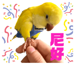 365655356