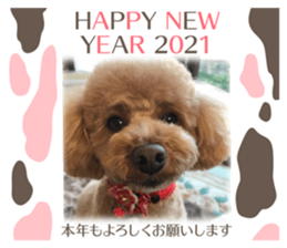 365713346