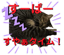 365720522
