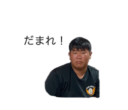 365730733