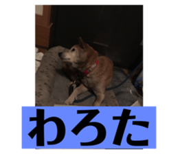 365753299