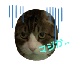 365753754