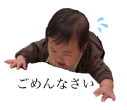 365767307