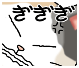 365785451