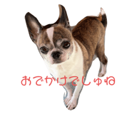 365820295