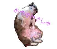 365820297