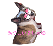 365820298