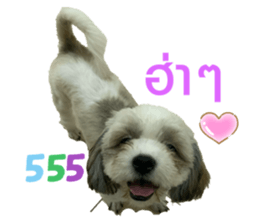 365866730