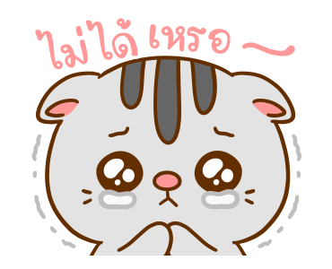 คอตต้อน ดุ๊กดิ๊กมีเสียง รูปที่ 15