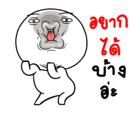 365893204