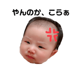 365916576