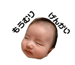 365916579