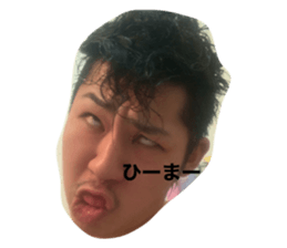 365918951