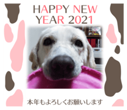 365934175