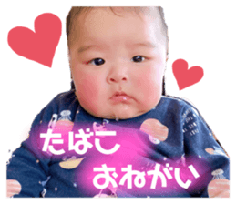 366000401