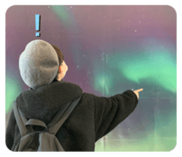 366003827