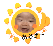 366005238