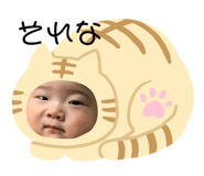 366005242