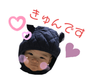 366005249