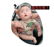 366031237