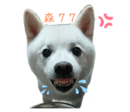 366032352