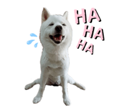 366032355