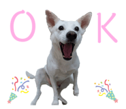 366032356