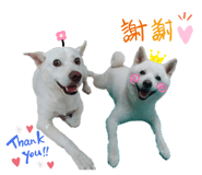 366032362