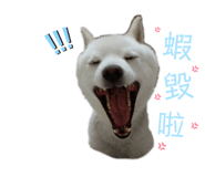 366032366
