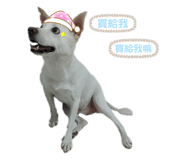 366032370