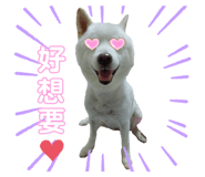 366032374