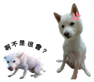 366032376