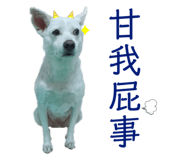 366032378