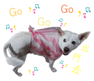 366032382