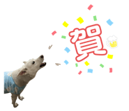 366032383