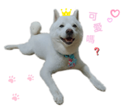 366032386