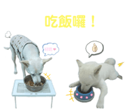 366032388