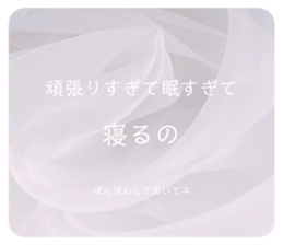 366056242